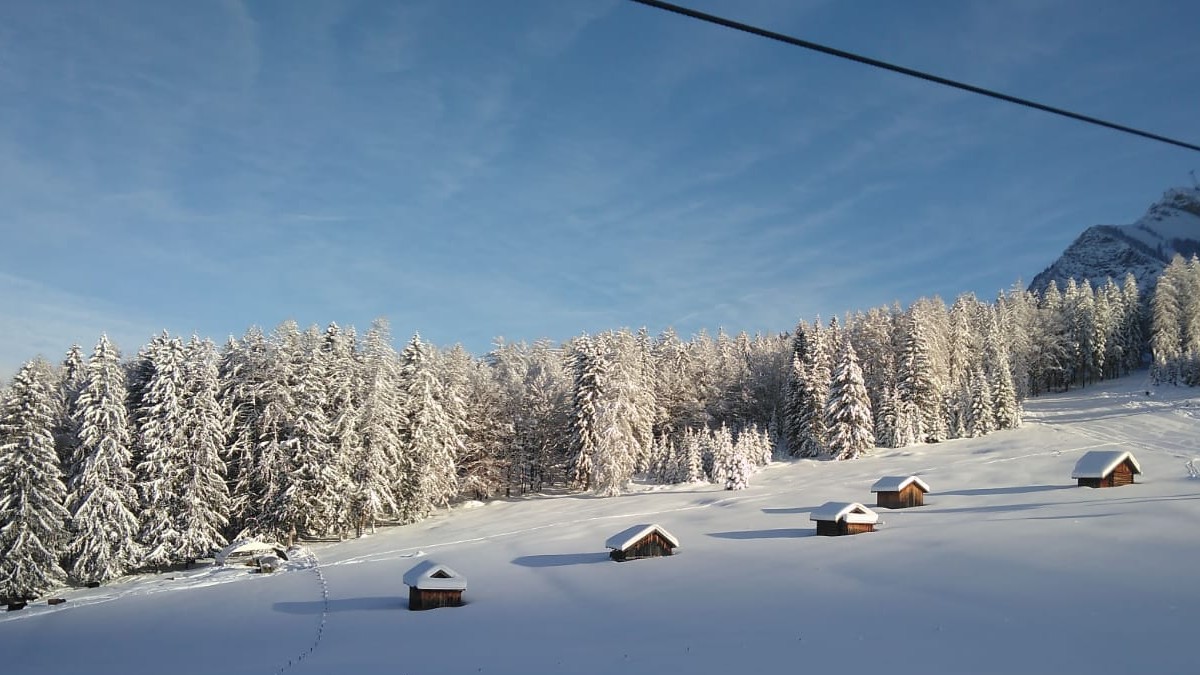 Tagesfahrten Zum Skikurs & Ermäßigte Liftkarten Für Ehrwald Und Oberstdorf/Fellhorn