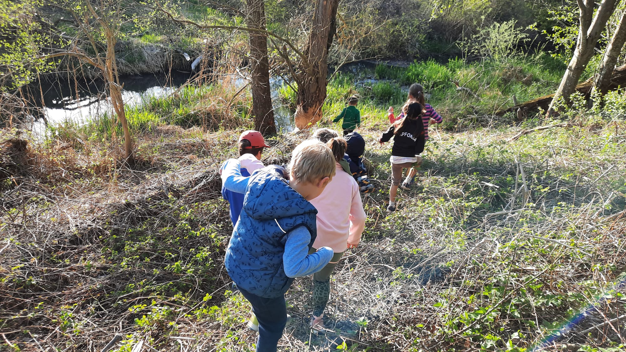 Funsport Für Kids